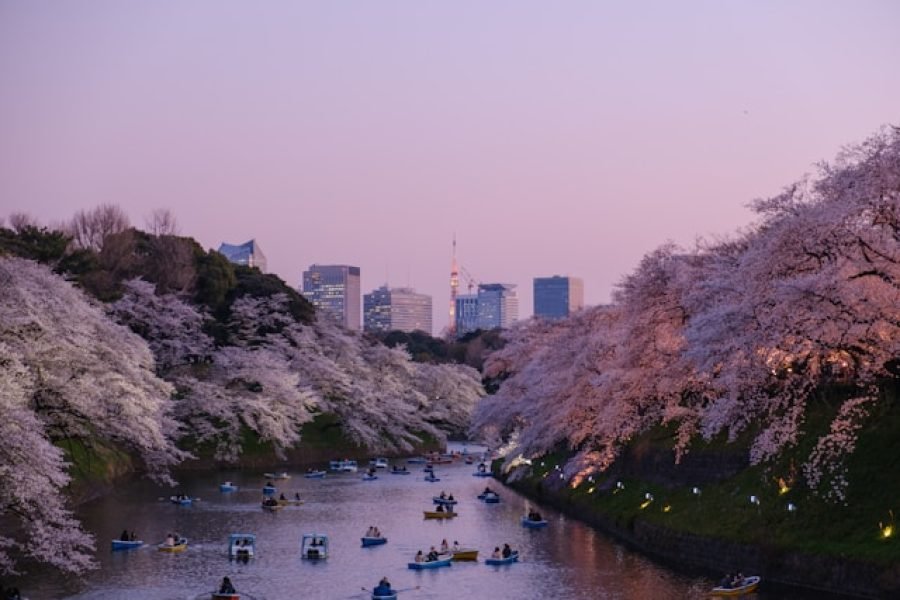 Tokyo et ses environs en liberté