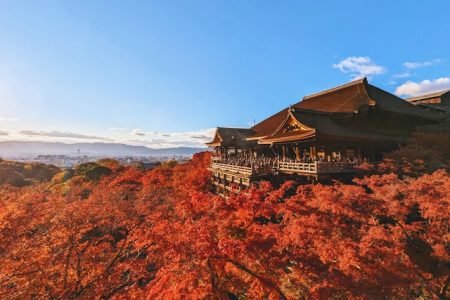 Kyoto et ses environs en liberté