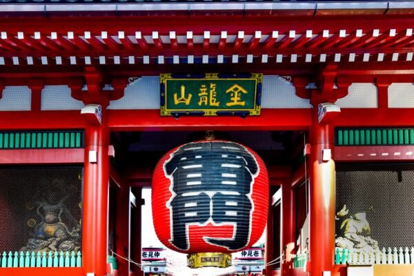 Découverte de Tokyo et ses environs