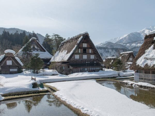 Découverte de Nagoya et ses environs