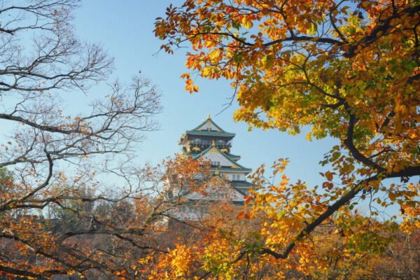 Séjour Kanto & Kansai — Icônes du Japon et Cœur Culturel