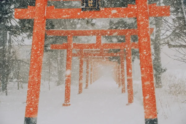 Séjour Hokkaido Intégral — Tour Complet du Grand Nord