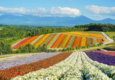 Séjour Hokkaido Intégral — Tour Complet du Grand Nord