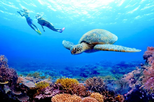 Séjour Okinawa — Japon Tropical et Îles Sauvages