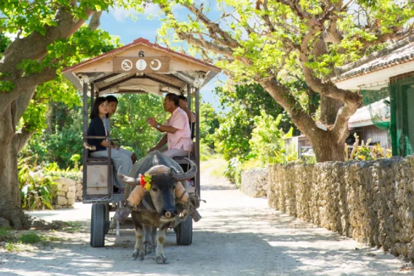Séjour Okinawa — Japon Tropical et Îles Sauvages