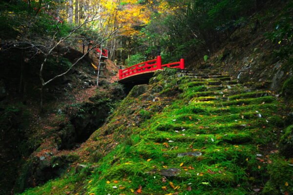 Séjour Kansai & Chubu — Japon Classique et Alpes Japonaises