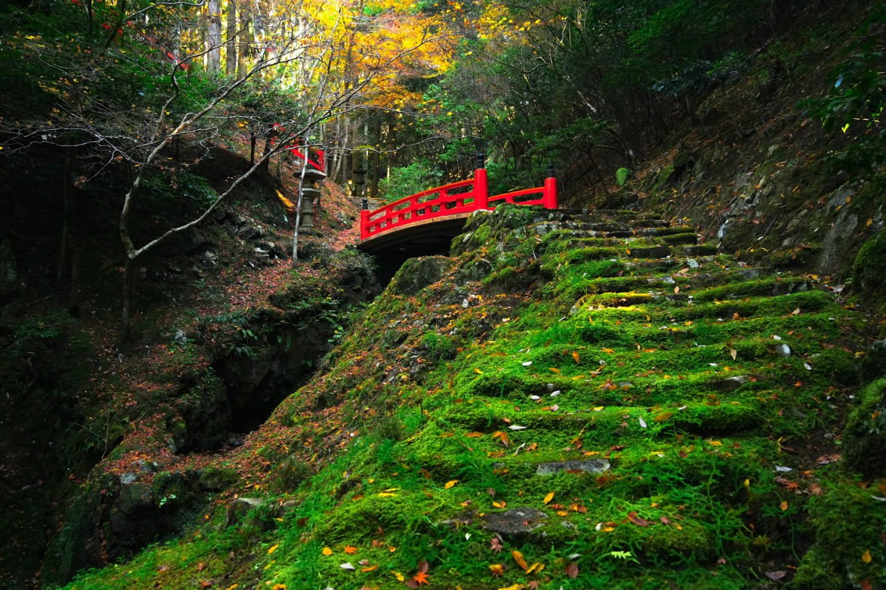 circuit-japon-kansai-alpesjaponaises-kanto-kyoto-matsumoto-nagano-kanazawa-shirakawago-tokyo (2)